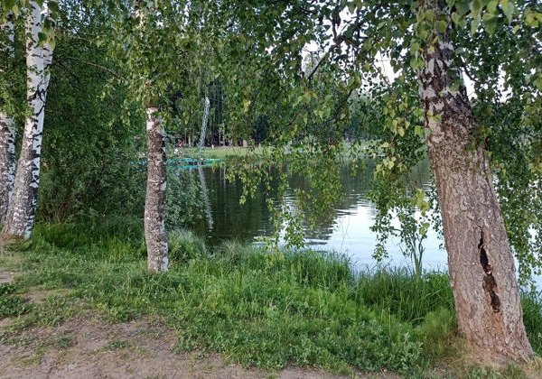«Сказочная Берендеевка»: небанальный парковый маршрут в Костроме - фото 3