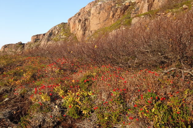 Фото экскурсии - Териберка: путешествие к самому краю земли - 4