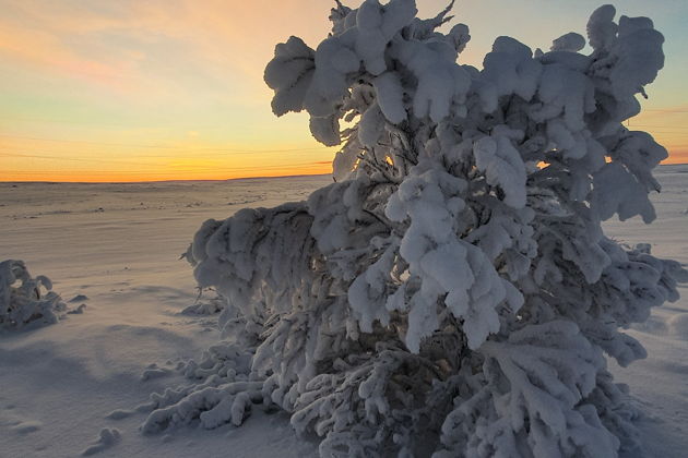 Фото экскурсии - Териберка: путешествие к самому краю земли - 7