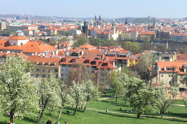 Фото экскурсии - Секретные коридоры Старого города и Прага без туристических троп - 8