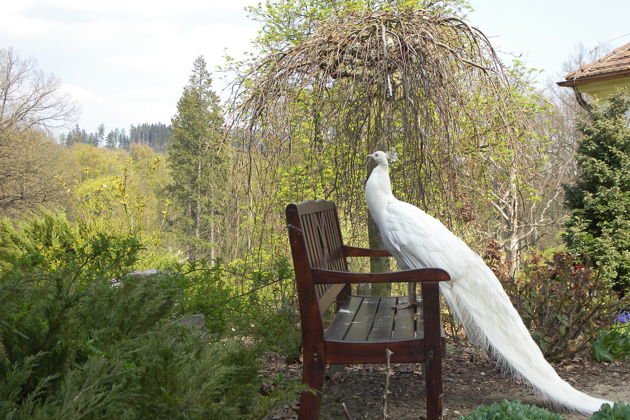 Фото экскурсии - Посетите замок Емниште и пивоварню Козел - 2