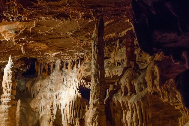 Фото экскурсии - Откройте тайны Моравского краса и замка Пернштейн - 3