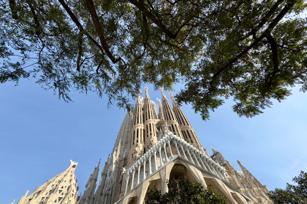 Фото экскурсии - Раскрой тайны храма Саграда Фамилия на уникальной экскурсии - 6