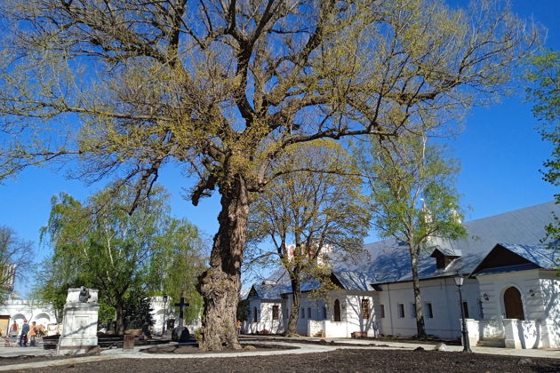 Фото экскурсии - Пешая прогулка по Новодевичьему монастырю с рассказом о судьбах женщин - 7