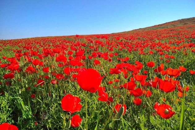 Фото экскурсии - Загадочный древний город Хива полный магии - 14