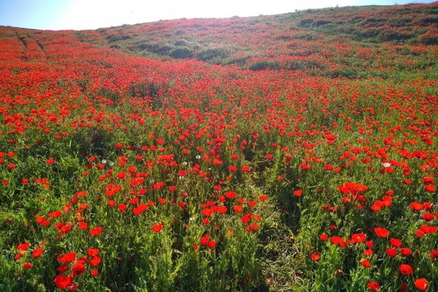 Фото экскурсии - Загадочный древний город Хива полный магии - 5