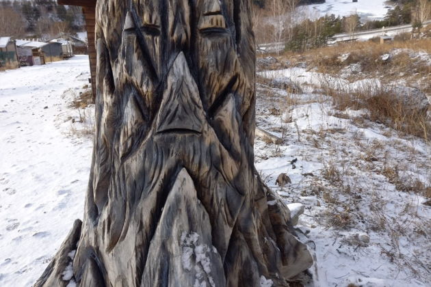 Фото экскурсии - Потрясающий Чемал и величественный мост в Ороктое - 2