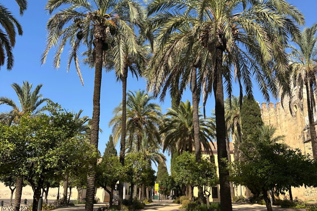 Фото экскурсии - Откройте классическую Испанию за восемь дней путешествия - 6