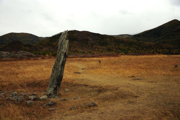 Фото экскурсии - Заповедная Каракольская долина с питомником зубров и монументом суслику - 4