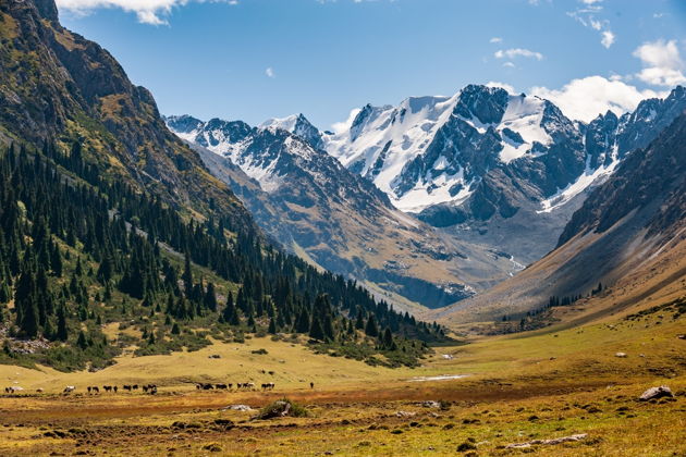 Фото экскурсии - Заповедная Каракольская долина с питомником зубров и монументом суслику - 6