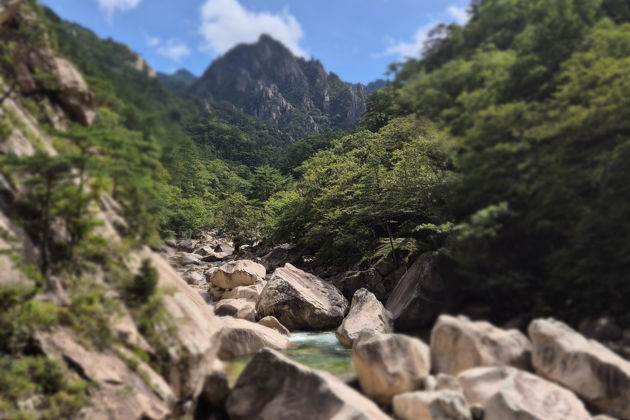 Фото экскурсии - Откройте красоту национального парка Сораксан и побережья Восточного моря Кореи - 11