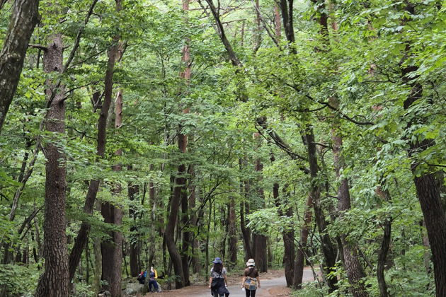 Фото экскурсии - Откройте красоту национального парка Сораксан и побережья Восточного моря Кореи - 9