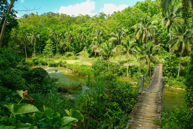 Фото экскурсии - Бохол – остров сказочных долгопятов и шоколадных холмов - 6