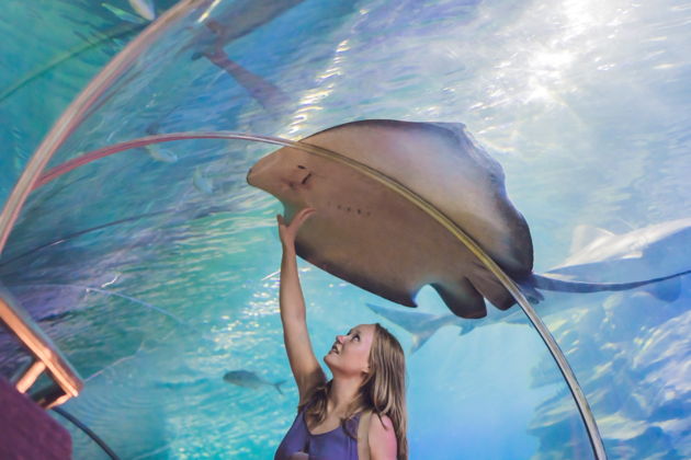 Фото экскурсии - Приобретите входной билет в аквариум Затерянный мир - 3