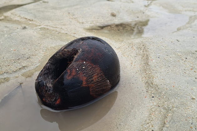 Фото экскурсии - Откройте для себя райские пейзажи Андаманских островов - 5