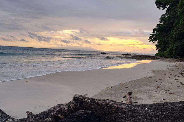 Фото экскурсии - Откройте для себя райские пейзажи Андаманских островов - 6