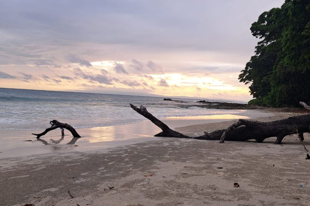 Фото экскурсии - Откройте для себя райские пейзажи Андаманских островов - 8