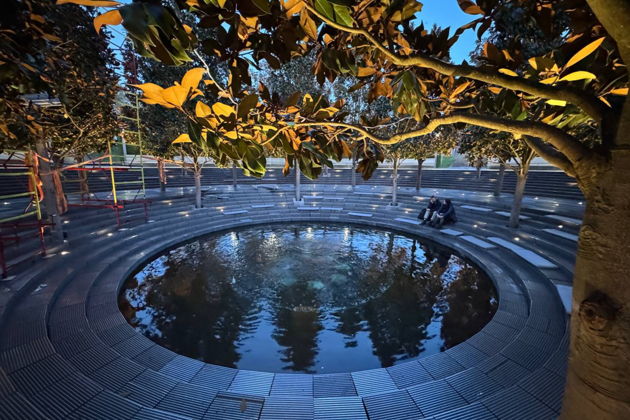 Фото экскурсии - Прогулка по парку Галицкого подарит ощущение полета без единого взмаха крыльев - 6