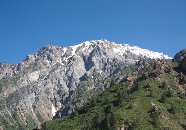 Индивидуальная обзорная экскурсия из Ташкента в Самарканд - фото 4