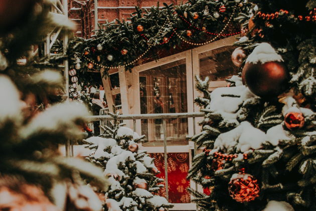 Фото экскурсии - Новогодние сказки в самом праздничном городе России - 7