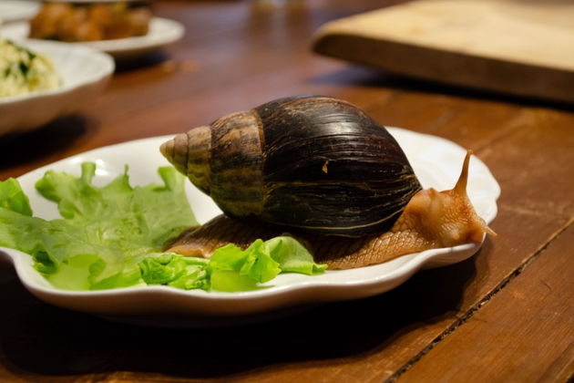 Фото экскурсии - Празднуем Новый год в Рязани - официальной столице праздника в 2026 году на трехдневном туре - 8