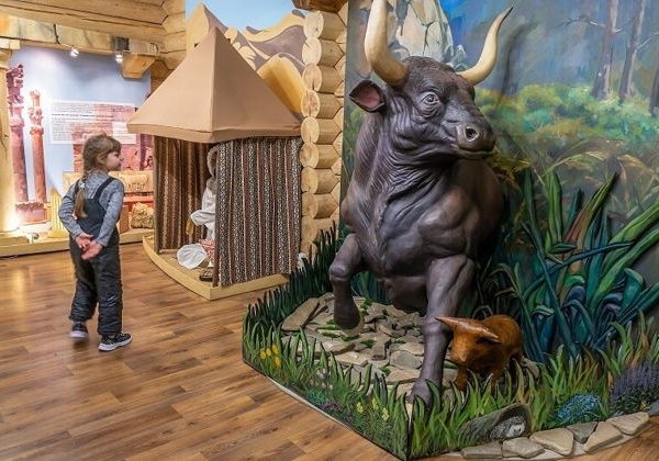 Новогодние приключения Сырка в Шоколаде — фабрика глазированного сырка - фото 1