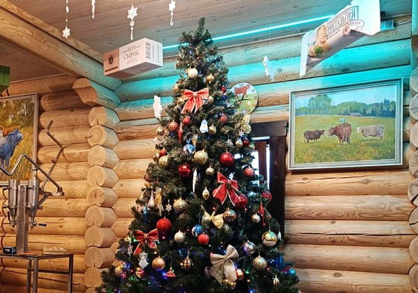 Новогодние приключения Сырка в Шоколаде — фабрика глазированного сырка - фото 2