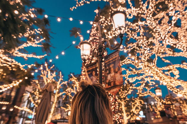 Фото экскурсии - Встречаем Новый год на городских улицах - 5