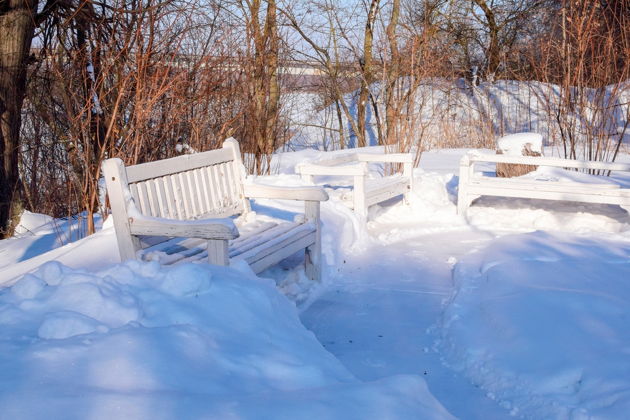 Фото экскурсии - Воронеж - колыбель новогодних традиций: пешая экскурсия по городу - 6