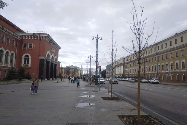 Фото экскурсии - Воронеж - колыбель новогодних традиций: пешая экскурсия по городу - 9