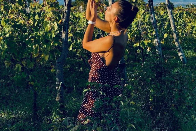 Фото экскурсии - Вкусовое приключение в центре Кахетии - гастрономические традиции и яркие впечатления - 5