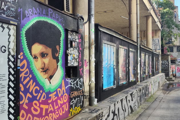 Фото экскурсии - Белградское уличное искусство: путь от вандализма к мурализму - 8