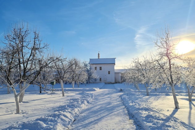 Фото экскурсии - Новогодняя картина Ростово-Суздальского княжества с праздничным застольем - 9