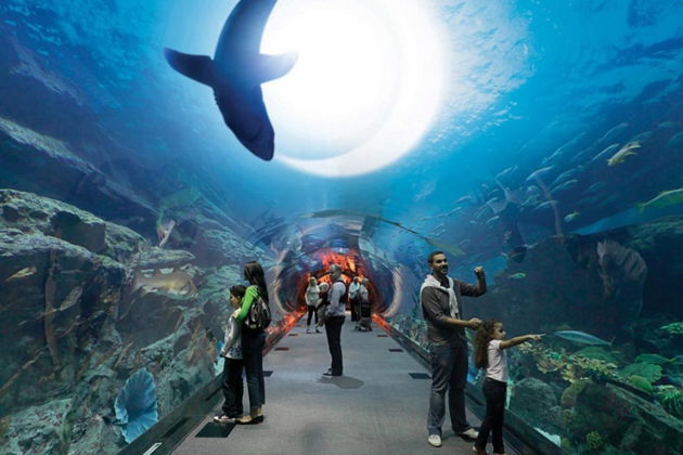 Фото экскурсии - Экскурсия для юных путешественников - 5