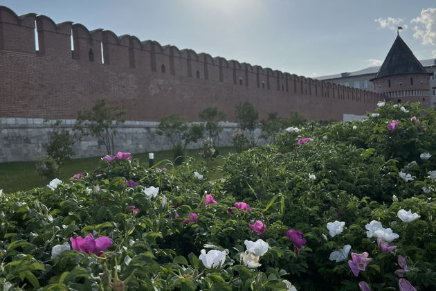 Фото экскурсии - Индивидуальная экскурсия по Тульскому кремлю с выбором формата билетов - 6