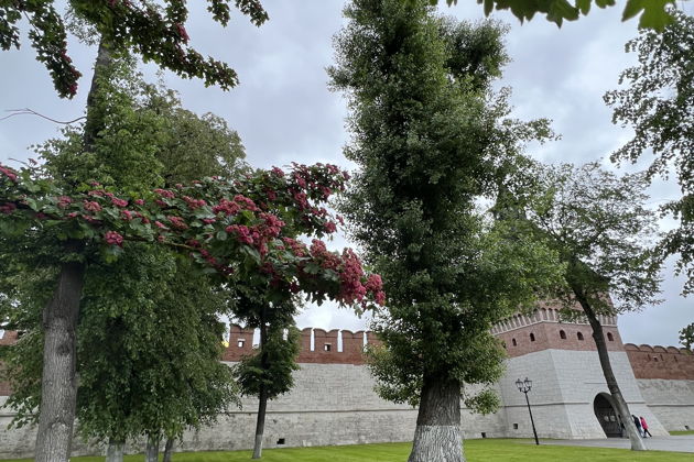 Фото экскурсии - Индивидуальная экскурсия по Тульскому кремлю с выбором формата билетов - 8