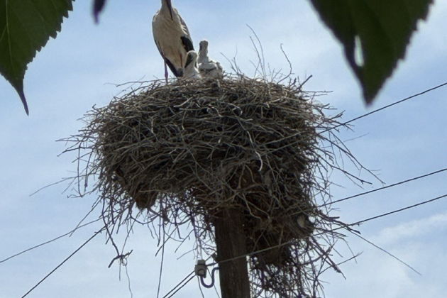 Фото экскурсии - Путешествие по горным пейзажам Армении с посещением Нораванка и традиционным обедом в местном доме - 11