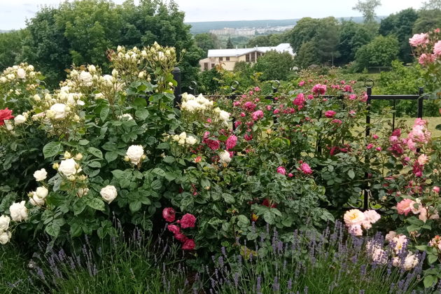 Фото экскурсии - Владимир: Успенский собор и достояние древней столицы - 2