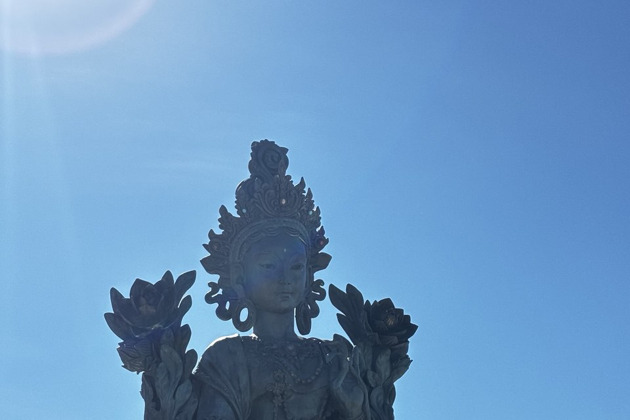 Фото - экскурсия: Таинственная сила Тары: Путь к внутреннему равновесию и покровительству