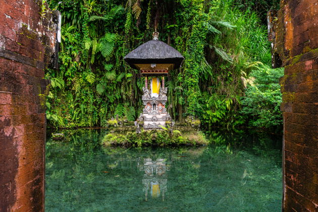 Фото экскурсии - Таинственный восток Бали с его храмами дворцами и вулканическими побережьями - 6