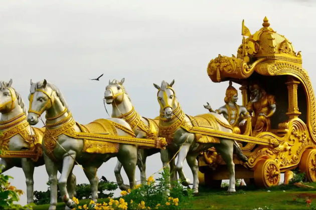 Фото экскурсии - Отправляемся на сафари наблюдать за тиграми и слонами - 1