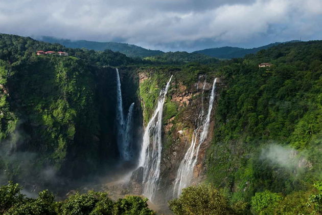 Фото экскурсии - Отправляемся на сафари наблюдать за тиграми и слонами - 4