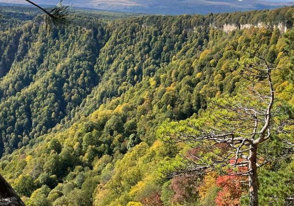 Лаго-Наки из Краснодара: Азишская пещера + смотровая Азиш-Тау - фото 3
