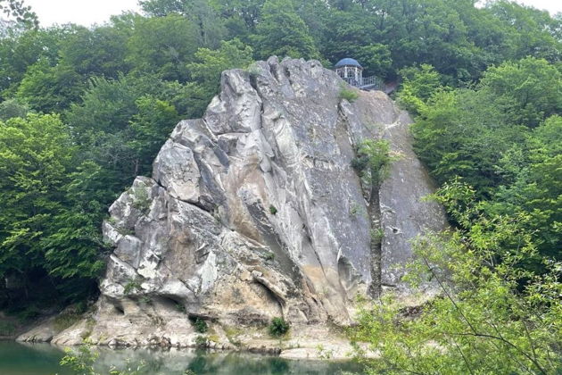 Фото экскурсии - Поездка из Краснодара на ферму Альпак в Горячий Ключ - 1