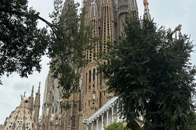 Фото экскурсии - Барселона Гауди: как фантазия стала явью - 2