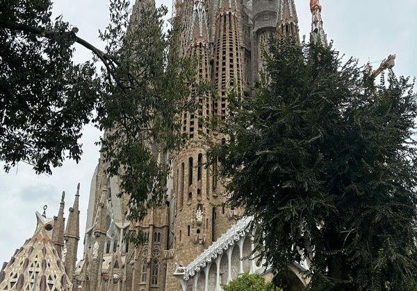 Барселона Гауди: от мечты к реальности - фото 2