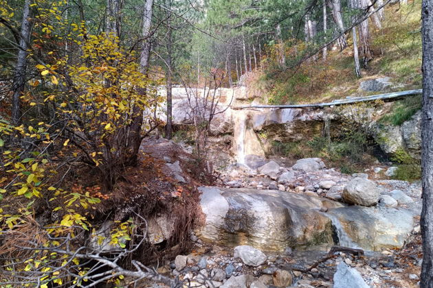 Фото экскурсии - Пешеходная экскурсия по Боткинской и Штангеевской тропам. - 5