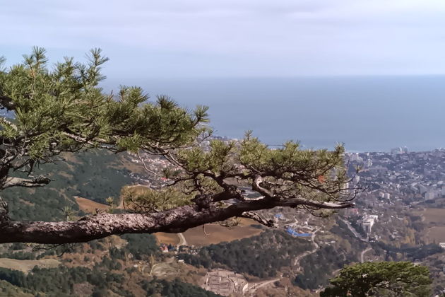 Фото экскурсии - Пешеходная экскурсия по Боткинской и Штангеевской тропам. - 7