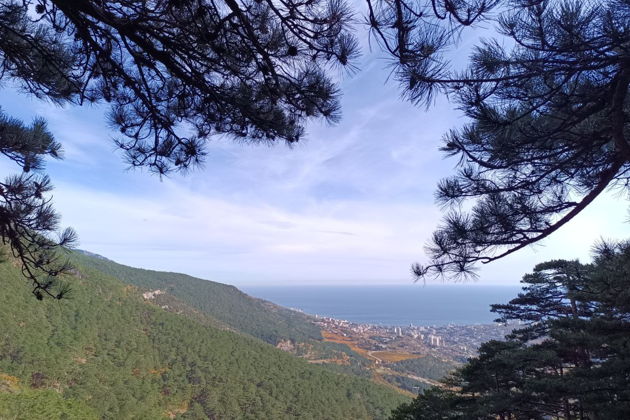 Фото экскурсии - Пешеходная экскурсия по Боткинской и Штангеевской тропам. - 8