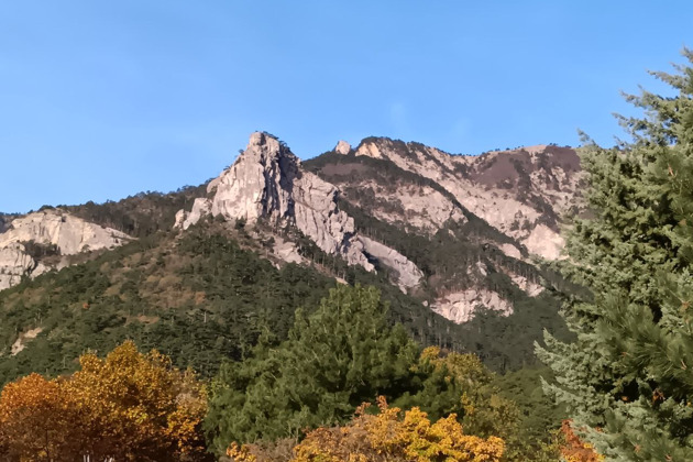 Фото - экскурсия: Пешеходная экскурсия по Боткинской и Штангеевской тропам.